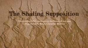 the shaling supposition